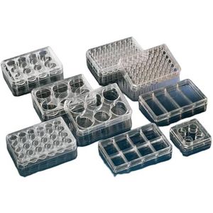 Thermo Scientific Nunc™ multischalen voor celcultuur, behandeld