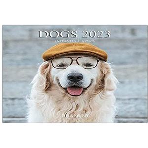 DRAEGER PARIS Wandkalender honden 2023 om op te hangen, 29 x 29 cm, 16 maanden, sept 22 tot december 23, 7 talen, kalender, kantoor, keuken, maandhuis, plantaardige inkt, FSC®-gecertificeerd papier
