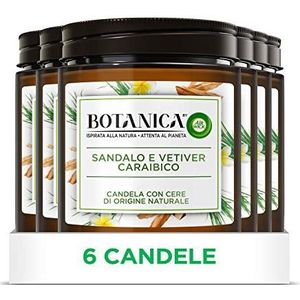 Airwick Botanica geurkaarsen met natuurlijke was, verpakking met 6 kaarsen, sandel- en vetivere Caribische geur, natuurlijke geur, 205 g