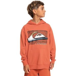 Quiksilver Retro Fade - Hoodie voor Jongens 8-16