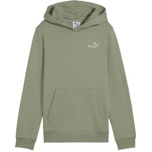 PUMA ESS 2 Color Small No. 1 Logo Hoodie FL B