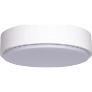 Led-plafondlamp, 20 W, 3000 K, wit, oppervlaktemontage, ideaal voor efficiënte en decoratieve verlichting