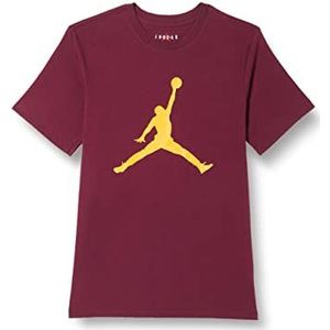 Nike Jumpman Cherrywood Red/Taxi L