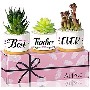 Lerarencadeaus voor vrouwen, beste lerarenwaarderingsgeschenken succulente potten coole zomerse cadeau-ideeën, mooi aankomen in geschenkdoos