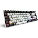 Sharkoon - SGK50 S2 - Toetsenbord - Wit - RGB - Gateron Bruin