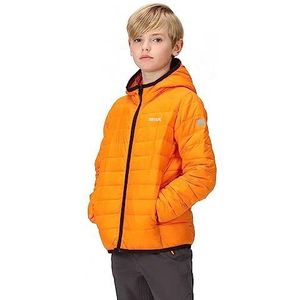 Regatta Kids Junior Hooded Marizion Geïsoleerde Jas, Oranje peper/verbrand koper, 12 jaar