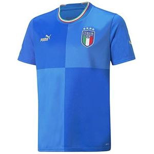 PUMA - Figc Home Jersey - Sportshirt - Veelkleurig - Jersey