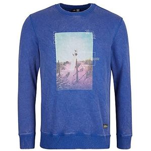 O'NEILL Surfboard Crew Sweatshirt, 15013, Surf The Web Blue, Regular (2-pack) voor heren