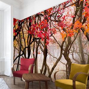 Apalis Bosbehang vliesbehang Japan in de herfst fotobehang bos breed | vliesbehang wandbehang muurschildering foto 3D fotobehang voor slaapkamer woonkamer keuken | bruin, 94951