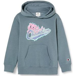 Champion Pullover met capuchon voor kinderen en jongeren, Tinnen grijs, 5-6 jaar