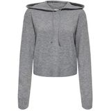 JDY - Gebreide Pullover - Hoodie - Lange Mouwen - Knit Fit
