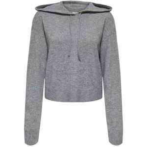 JDY - Gebreide Pullover - Hoodie - Lange Mouwen - Knit Fit