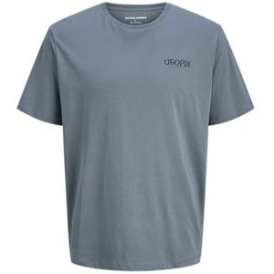 JACK & JONES Jjkoji Tee Ss Crew Neck, stormy weather, M