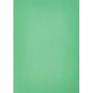 House of Card & Paper gekleurd papier, A4, 80 g/m2, gekleurd Bright Green (Pack of 50 Sheets) groen
