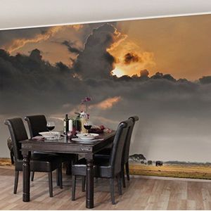 Apalis Vliesbehang olifanten van de Savanne fotobehang breed | vliesbehang wandbehang wandschilderij foto 3D fotobehang voor slaapkamer woonkamer keuken | meerkleurig, 94609
