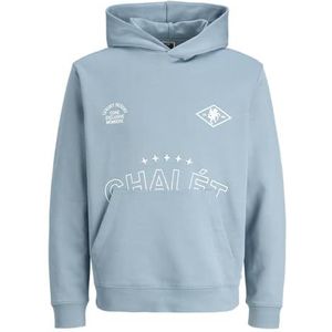 JACK & JONES Jcocrest Print Sweat Hood, Blue Shadow., XS