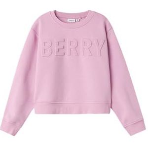 NAME IT Meisjes Nkfkalisse Ls Short Loose Sweat Bru Sweatshirt, Pastel Lavender, 122-128