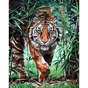 Wizardi Diamond Painting Kit for Creativity & Leisure, voor Advanced Diamond Art Lovers Dangerous Tiger WD310 46 x 36 cm Vierkante Diamond Painting Rhinestones voor kinderen van 8+ en volwassenen