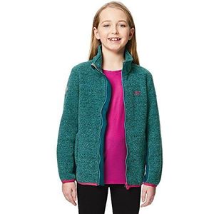 Regatta Ascendo fleece voor kinderen
