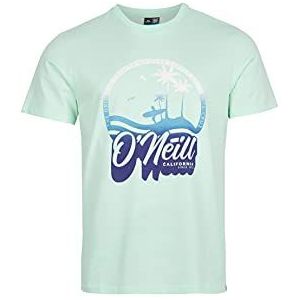 O'Neill Gradient Vintage Surf T-shirt voor heren
