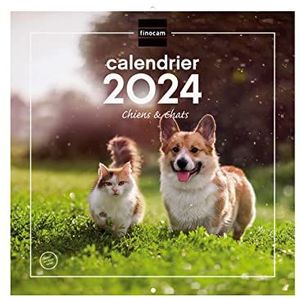 Finocam Kalender voor wandfoto's, 30 x 30 cm, voor notities 2024 januari 2024 - december 2024 (12 maanden), Franse honden en katten