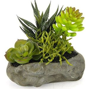 Flair Flower Vetplanten op steen, plastic, groen, 12 x 13 x 10 cm