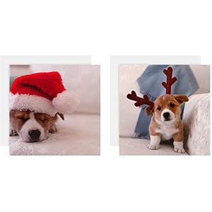Hallmark Galerij Collectie Liefdadigheid Kerstkaarten - Pack van 10 in 2 Leuke Fotografische Ontwerpen