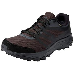 Salomon Trailster 2 Gore-Tex (waterdicht) Heren Trailrunning-Schoen, Zwart (Phantom/Ebony/Black), 40 EU