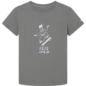 Pepe Jeans Boomer T-shirt voor jongens, groen (casting), 10 Jaar