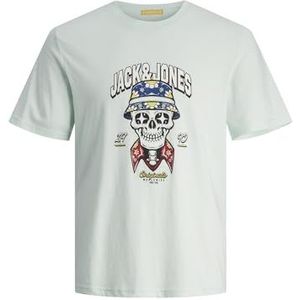 JORCOCONUT Skull Tee SS Crew Neck, Skylight, M