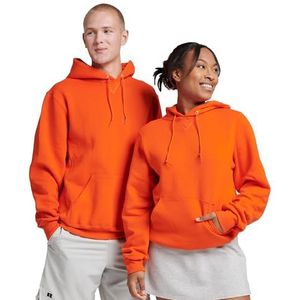 Russell Athletic 695HBM Dri Power® Sweater met capuchon