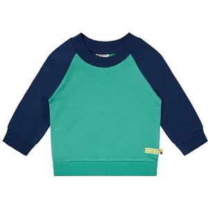 loud + proud Uniseks kindersweatshirt met raglanmouwen, GOTS-gecertificeerd sweatshirt, Plant/Ultramarine, 122-128