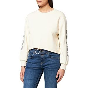 LTB Jeans Dames Nofeda Trui, Grey Gold Lurex 12523, L