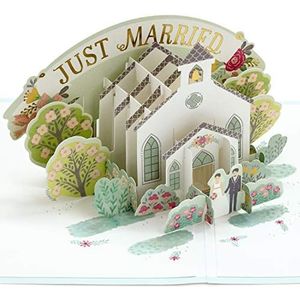 Hallmark Signature Paper Wonder Pop Up trouwkaart (gelukkige trouwdag)