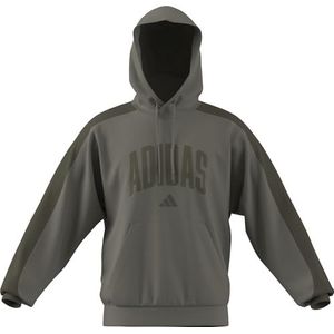 adidas Hombre COLLEGIATE FLEECE HOODIE, silver pebble/olive strata, L