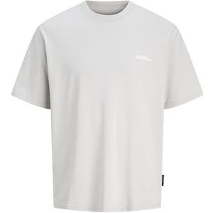 Jack & Jones Jcoinfinity Sun Back Tee Ss Crew Neck, grijs (gray dawn), XL
