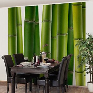 Apalis Vliesbehang bloemenbehang bamboeplanten fotobehang vierkant | vliesbehang wandbehang muurschildering foto 3D fotobehang voor slaapkamer woonkamer keuken | grootte: 336x336 cm, groen, 97503