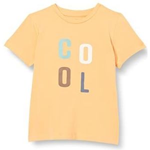 NAME IT Nbmhakon Ss Top T-shirt voor jongens, Buff zalm, 56