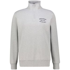 Small Graphic Sweat Half Zip, gemengd grijs, 3XL