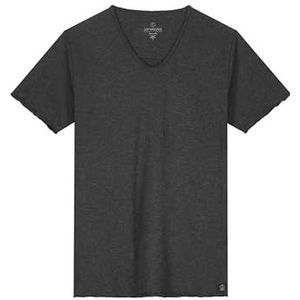 Dstrezzed Stewart T-shirt Grijs - Heren