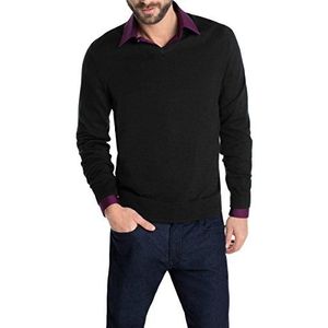 ESPRIT Collection Heren Pullover 114EO2I001
