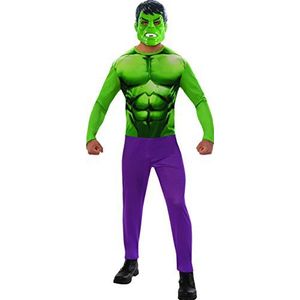 Hulk STD kostuum voor volwassenen, instapmodel