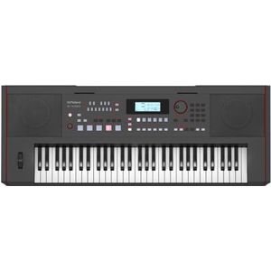 Roland E-X50 Electronic Arranger Keyboard – Makkelijk te gebruiken | Stereo Speakers | Bluetooth | Professionele Roland Sounds | Mic Input | Automatsiche begeleidingsfuncties