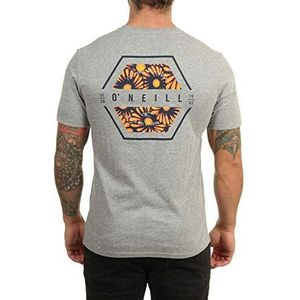 O'Neill LM Phil T-shirt voor heren