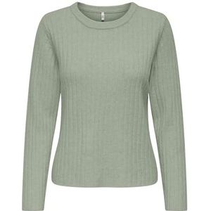 ONLY Dames OnlJeanett Life Ls Rib O-Neck Cc KNT, desert sage, XL