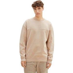 TOM TAILOR Denim Sweatshirt voor heren, 11704 - Silver Ecru, XL