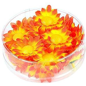 Widmann 23981 - decoratie margrieten, 20 stuks in plastic doos, bloemen, bloemen, zomerfeest, tafeldecoratie, themafeest