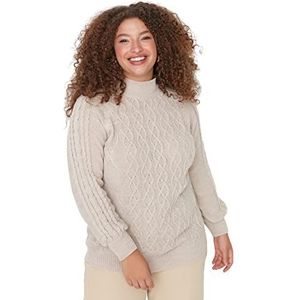 Trendyol Dames staande kraag Plain Relaxed Plus Size Sweater Sweater, Beige, XXL, Beige, XXL