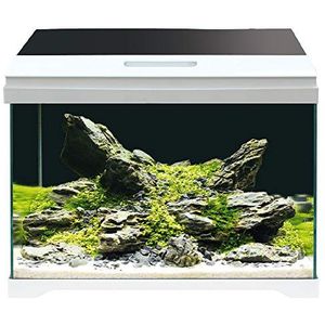 AMTRA MODERN TANK 40 LED - Aquarium compleet met LED-verlichting en intern filter/cm 42,5x23,5x36,5/28 Liter