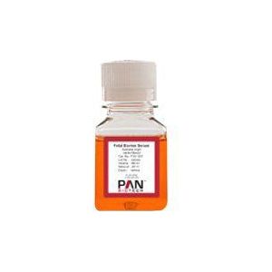 PAN BIOTECH P30-1301 Serum de veau foetal, originele Australie, 100 ml